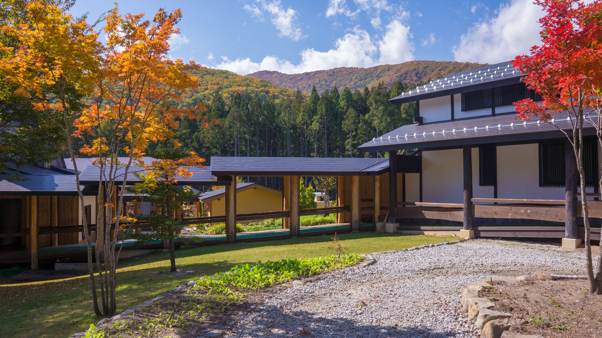 Фото Hotel Sierra Resort Hakuba