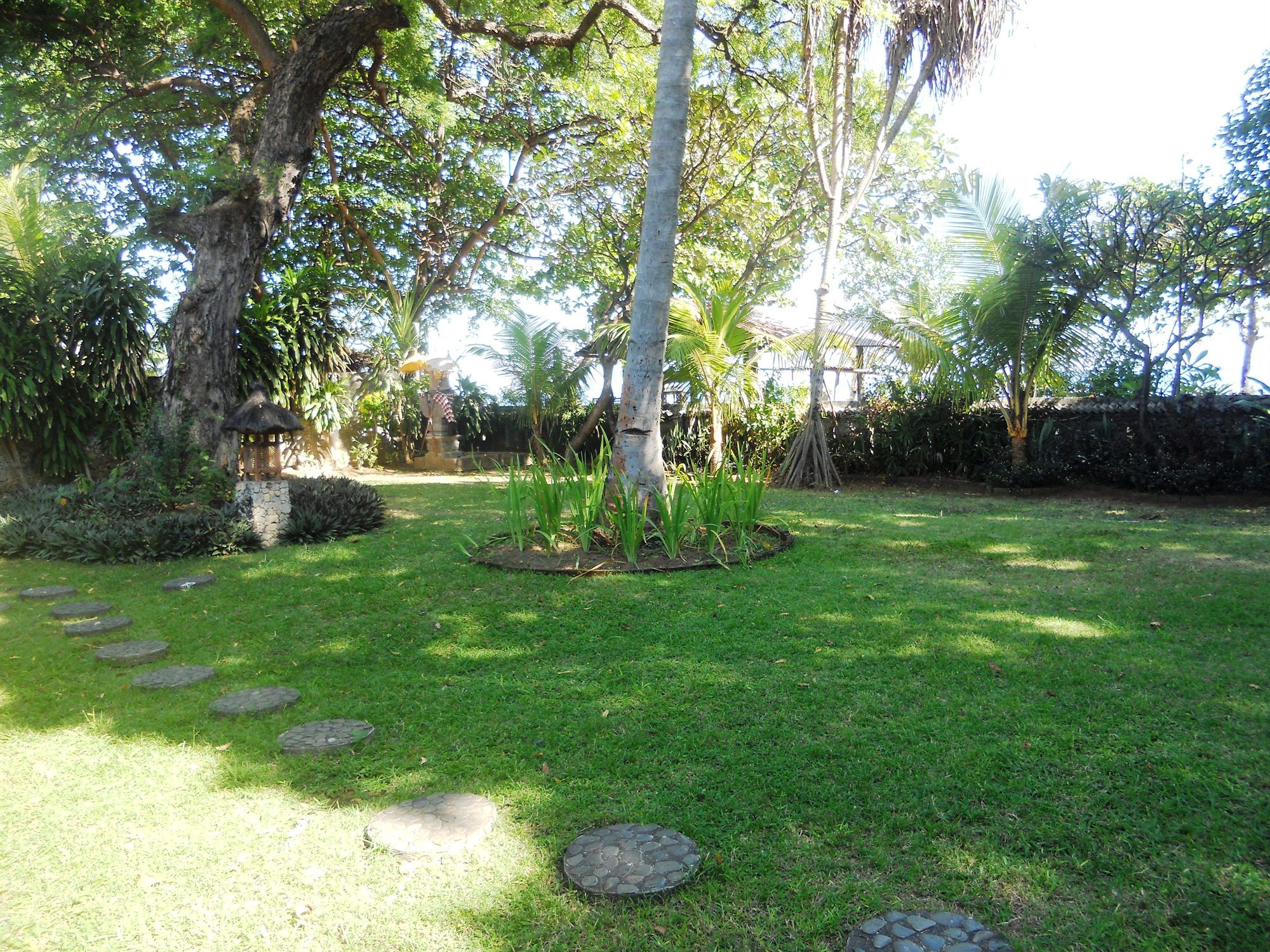 Фото Bali Lovina Beach Cottages