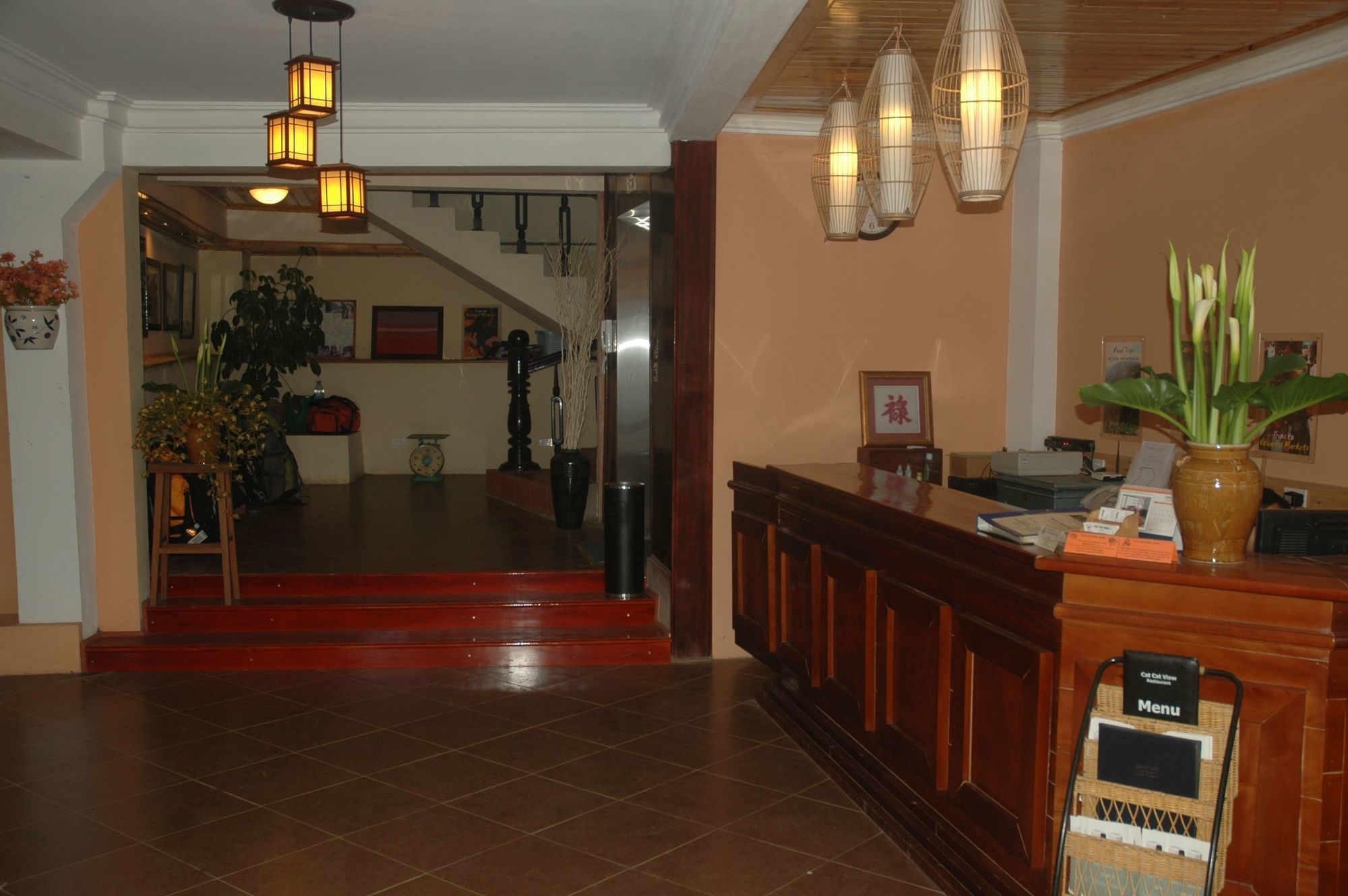 Фото Cat Cat View