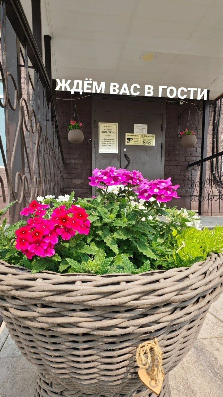 Фото Восток