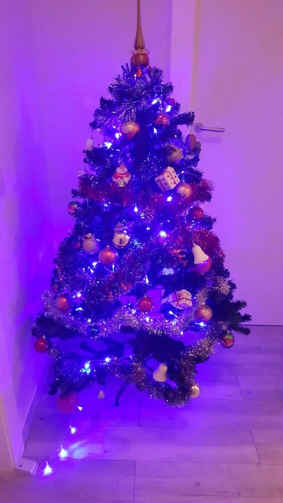 Фото Domina Romae B&b