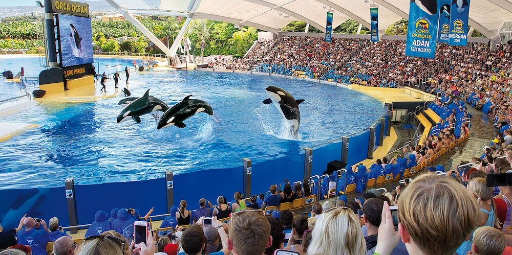 Фото Hotel Adonis Pelinor