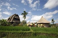 Фото Ubud Hidden Villa