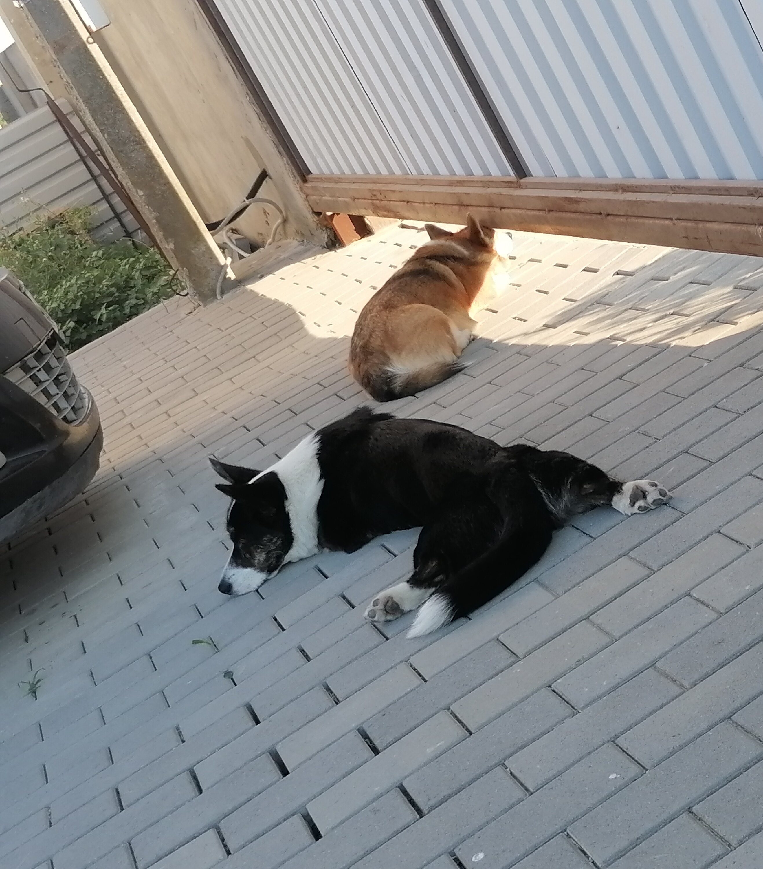 Фото Клуб любителей моря