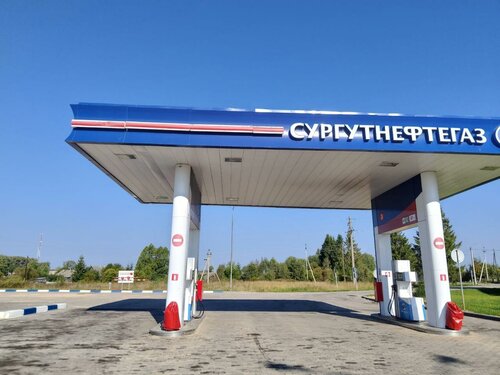 Gas station Surgutneftegas, Tver Oblast, photo