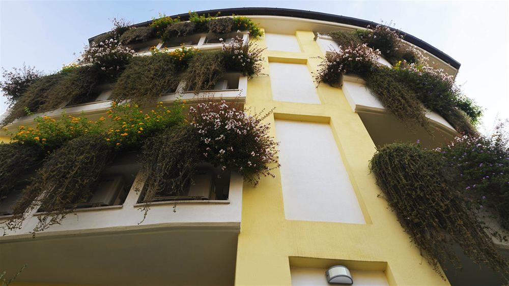 Фото Patrizia Romana Palace