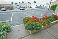 Фото San Carlos Inn