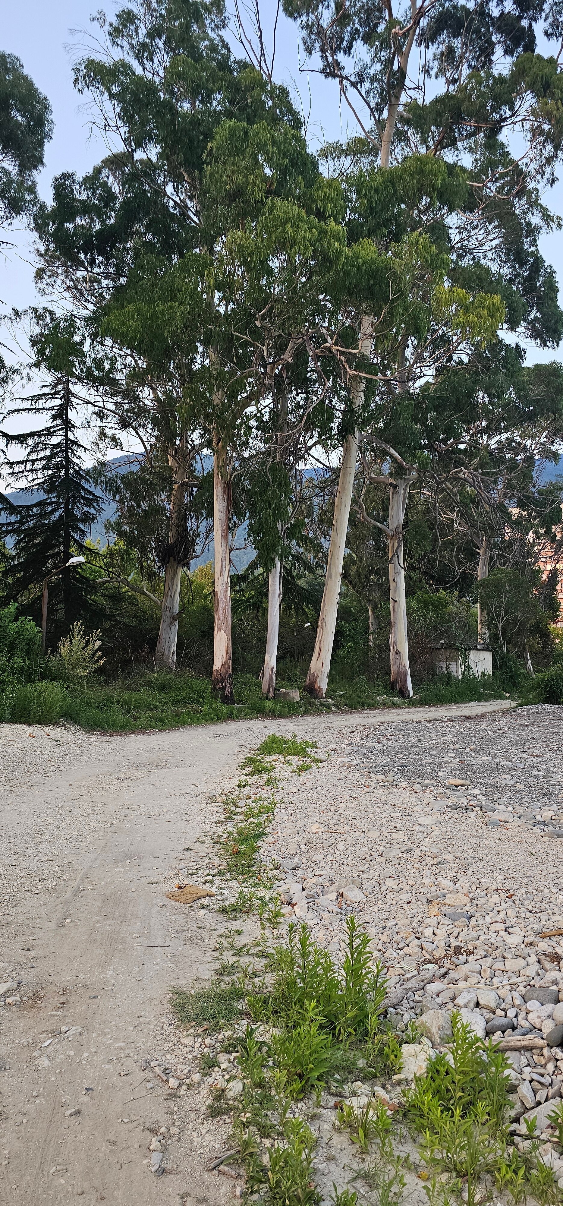 Фото Лазурный