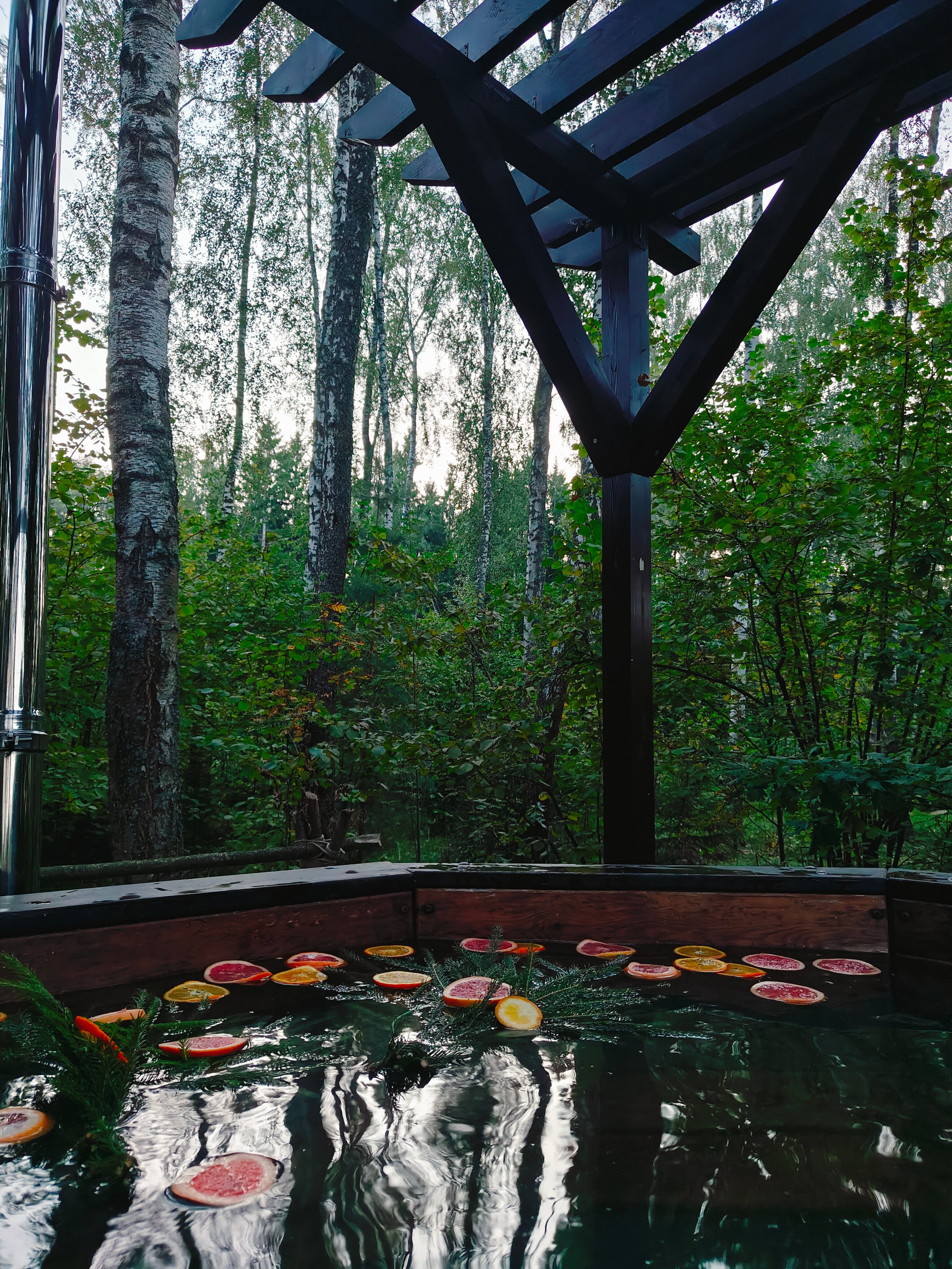 Фото Уютный домик в лесу у пруда