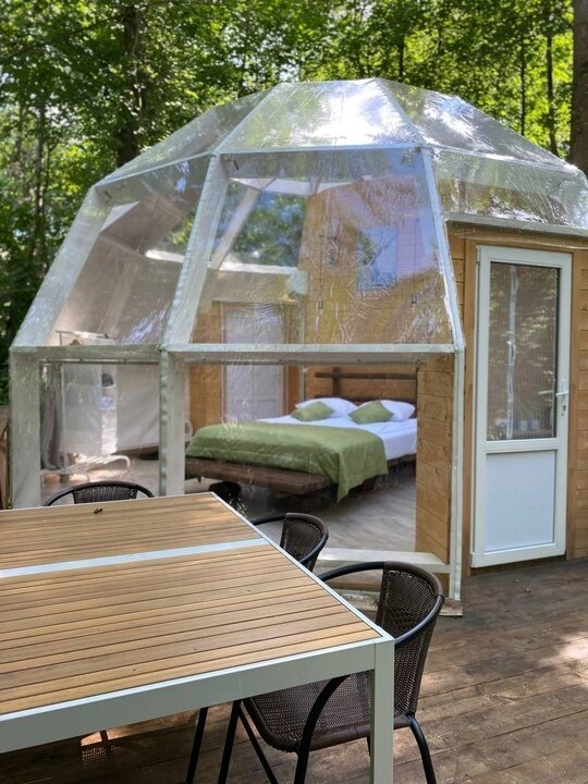 Фото Клевер