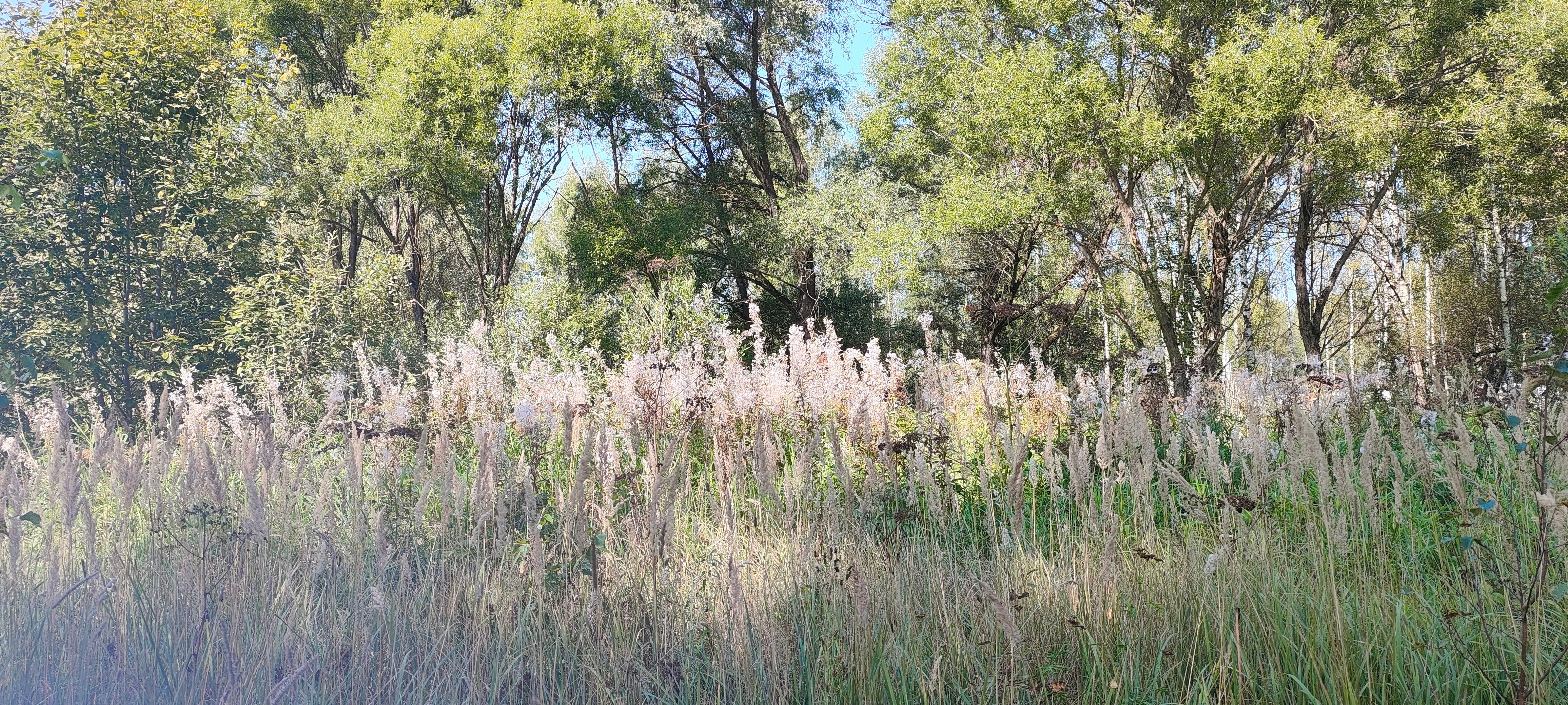 Фото Indie House