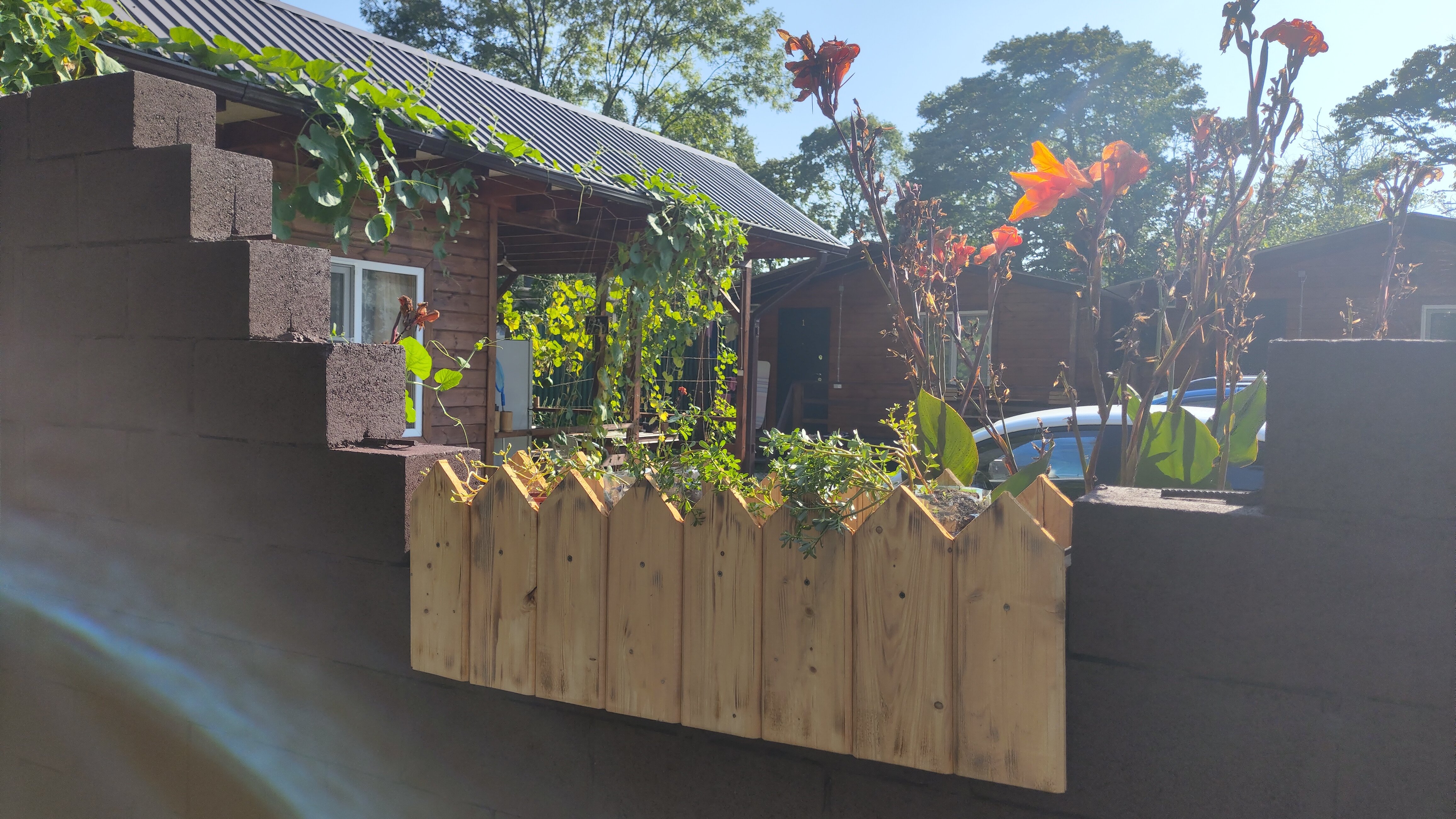 Фото База отдыха Асса