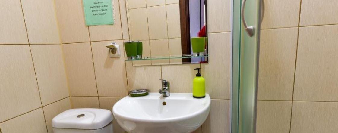 Фото Тополя