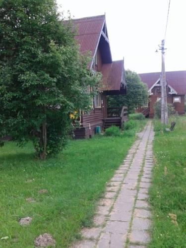 Фото Медведица