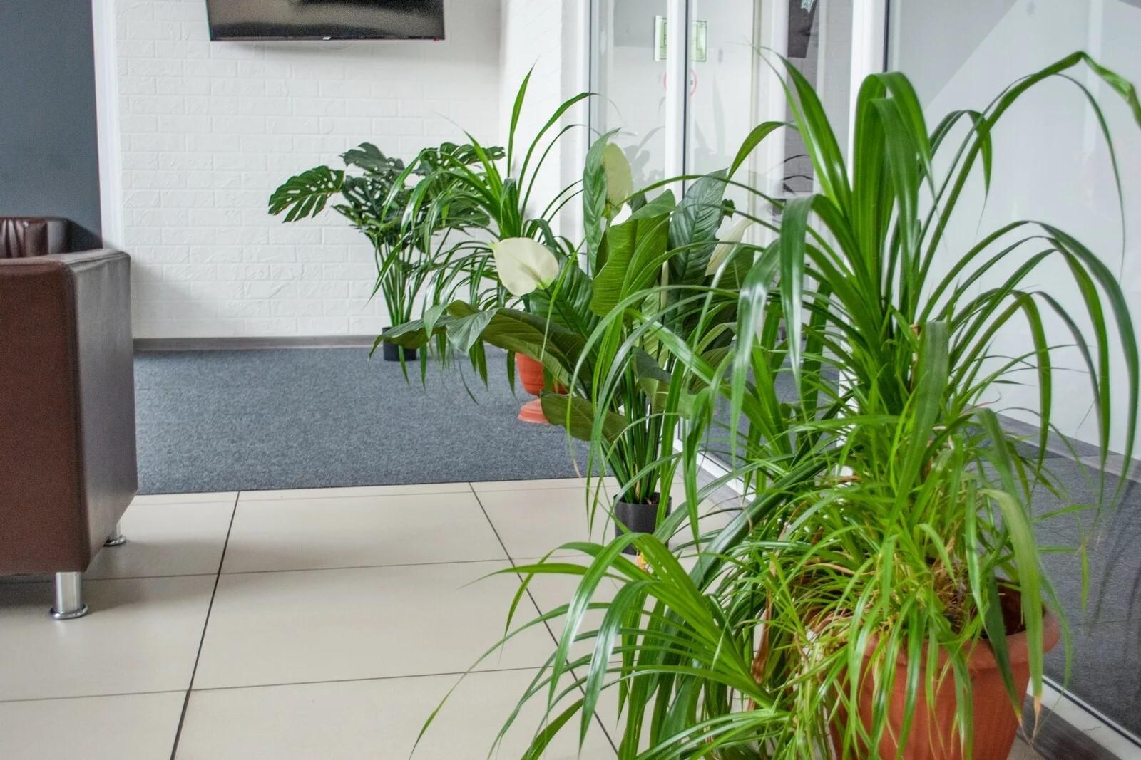 Фото Хостел Измайлова