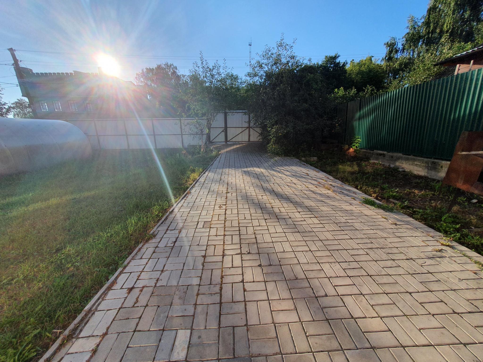 Фото Амигос