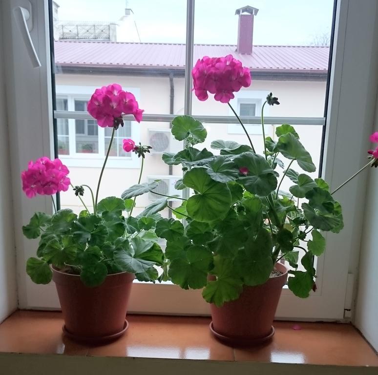 Фото Старый город