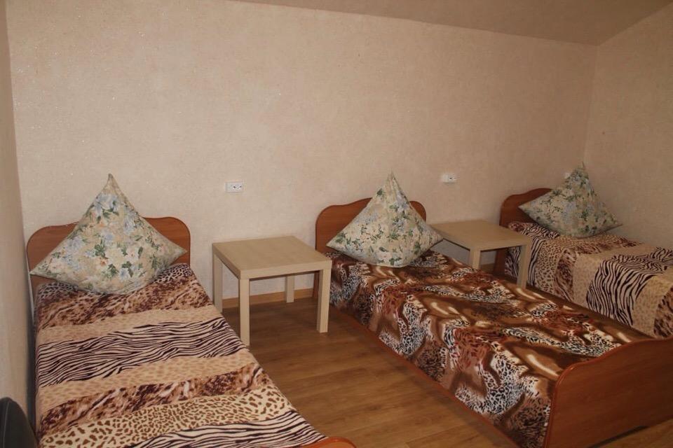 Фото Путник