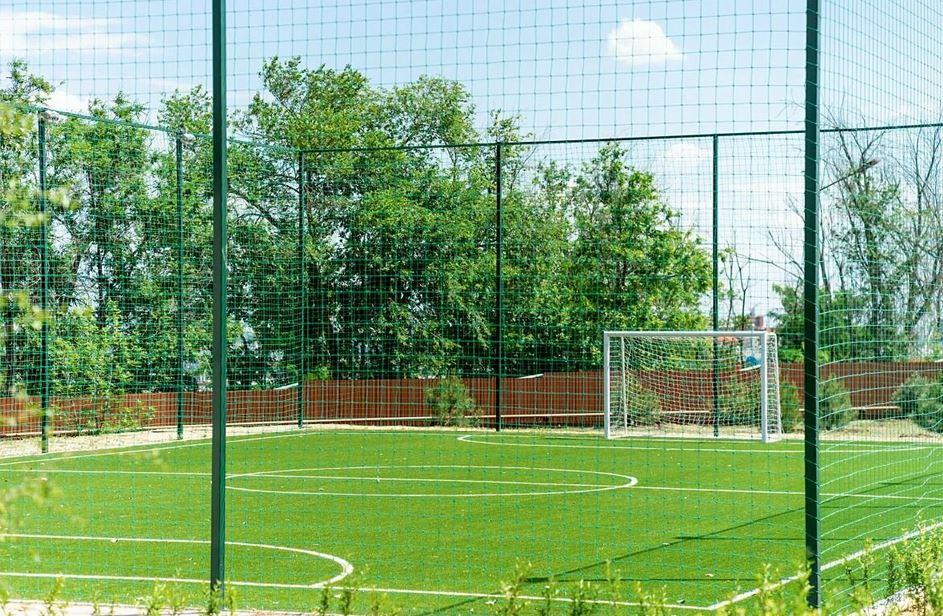 Фото Наша Хвоя