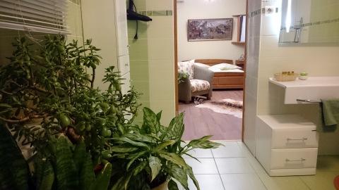 Фото Гостиница на Светлой