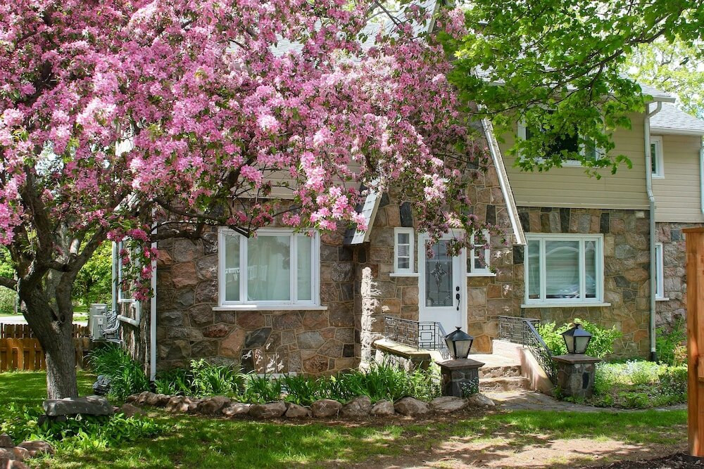 Фото Rester Vivant