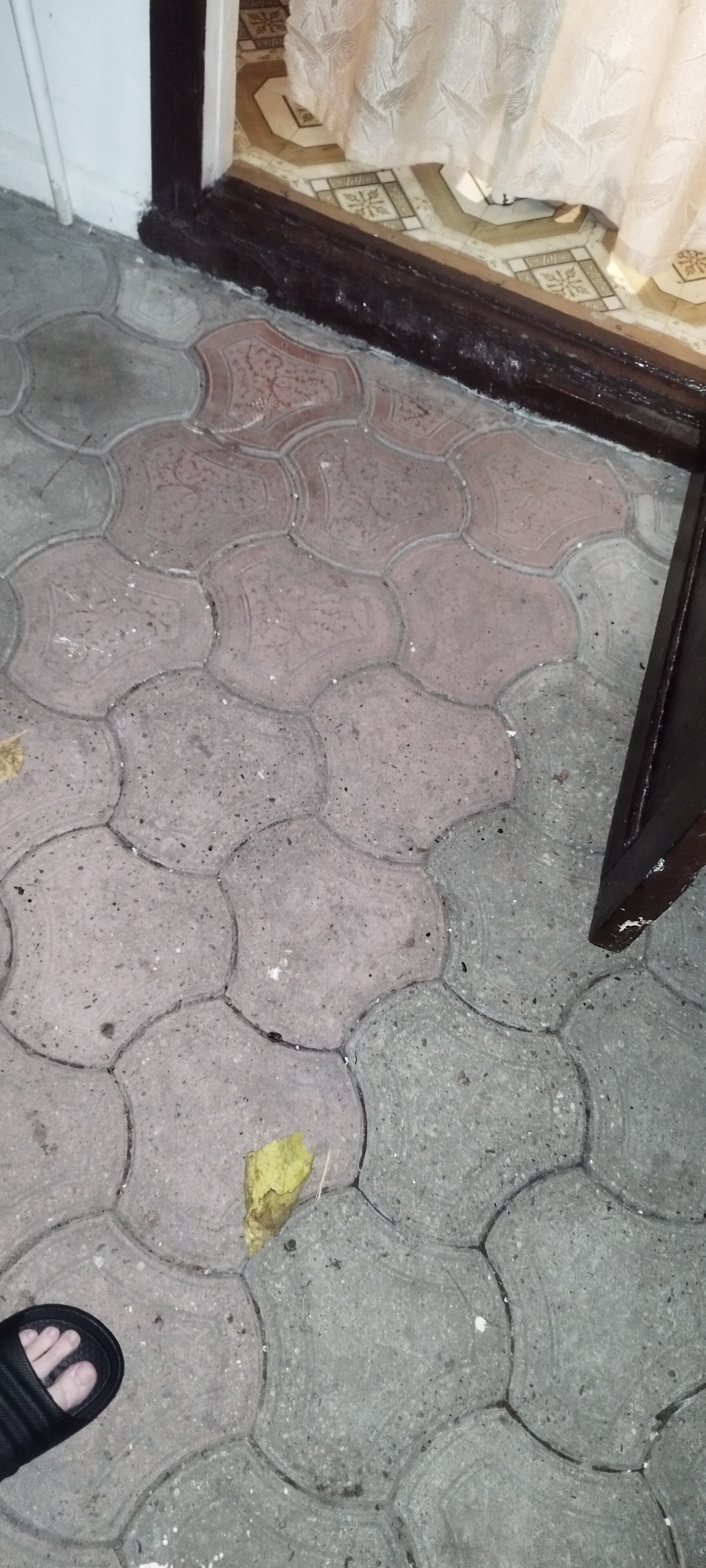 Фото Колосок