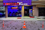 Muscle Fit (Ankara Province, Cankaya District, Kırkkonaklar Mah., 316. Cad., 14), club de fitness