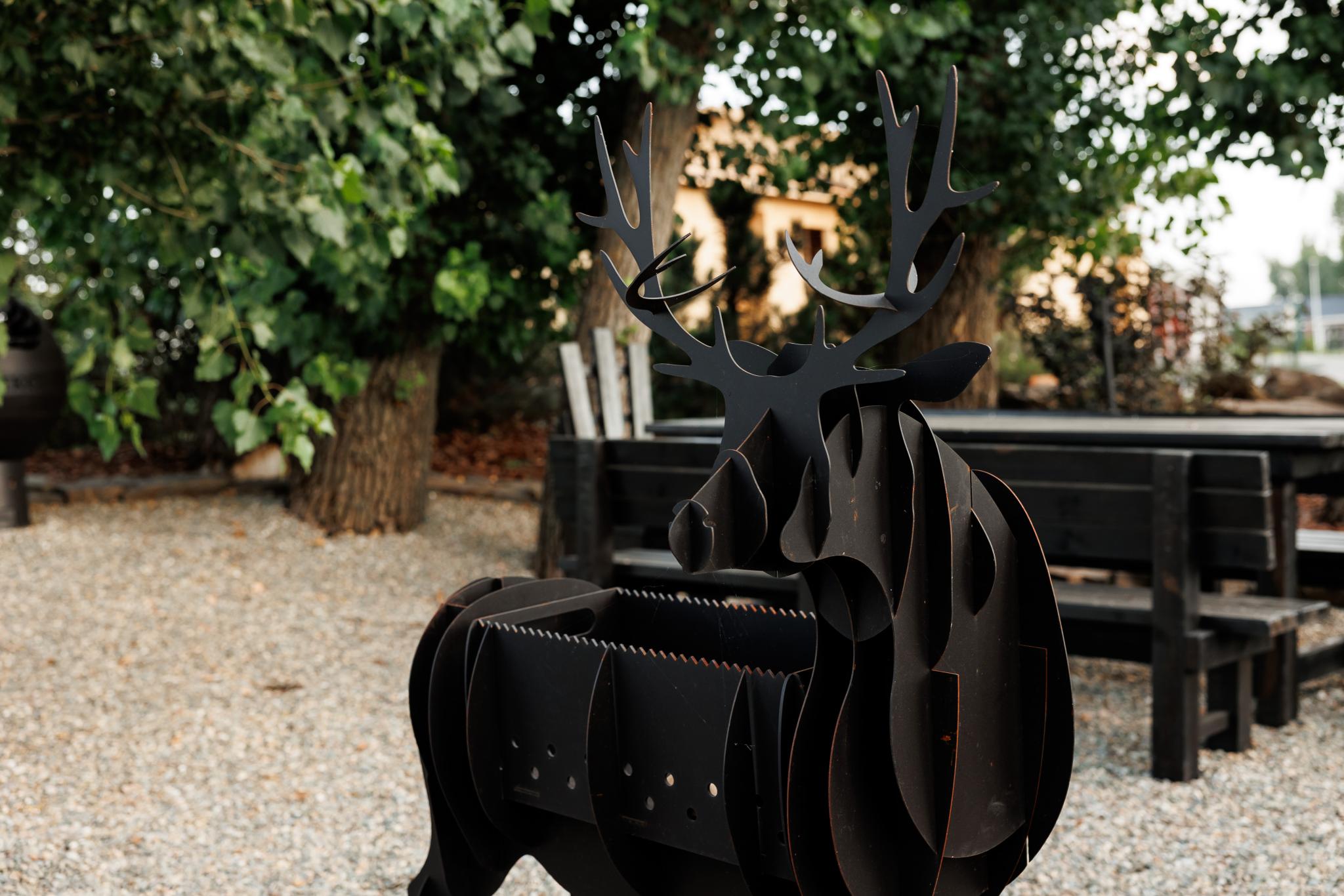 Фото Феникс