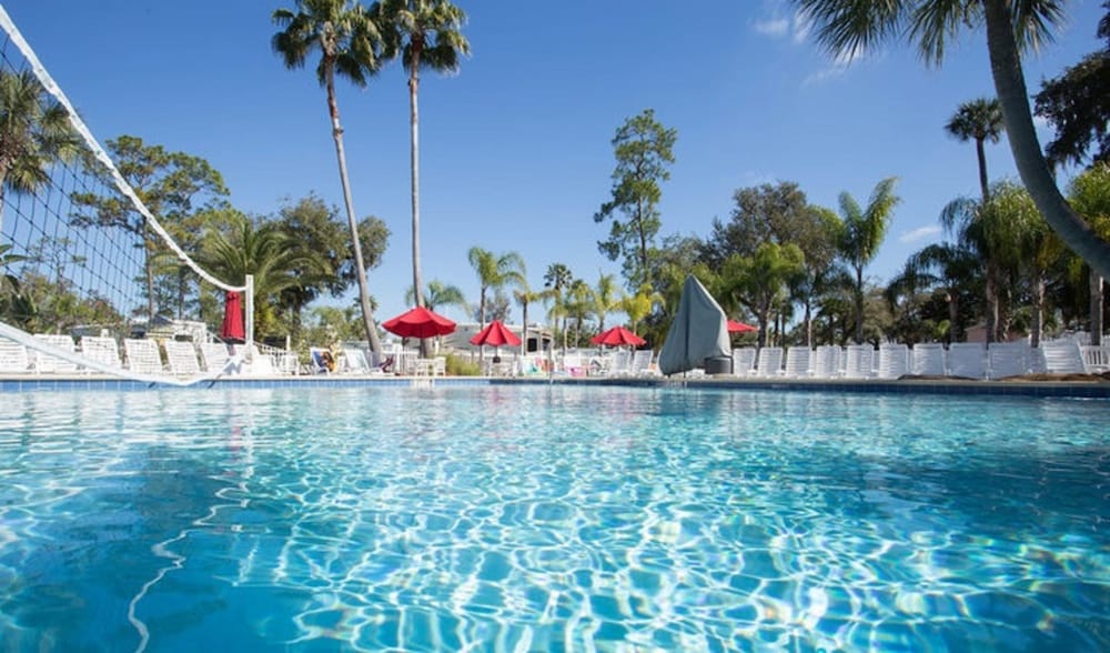 Фото Tropical Palms