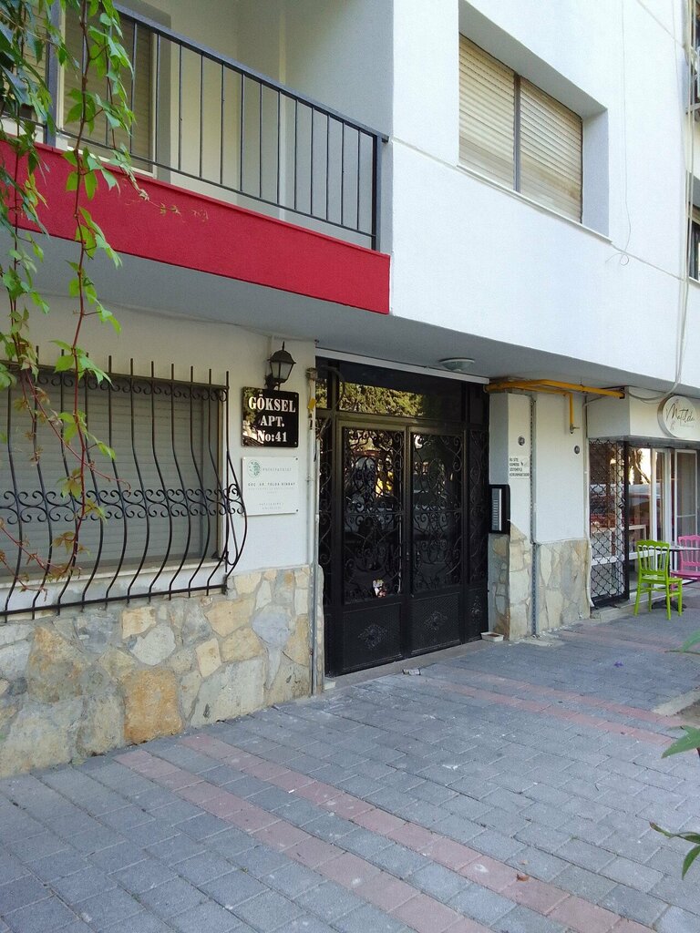 Psychiatrist Assoc. Prof. Dr. Tolga Binbay, Izmir, photo