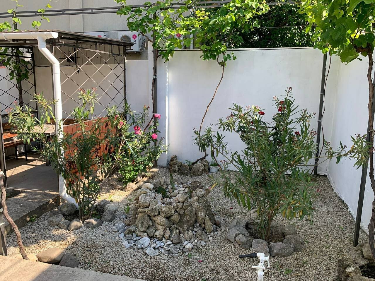 Фото Серебрия