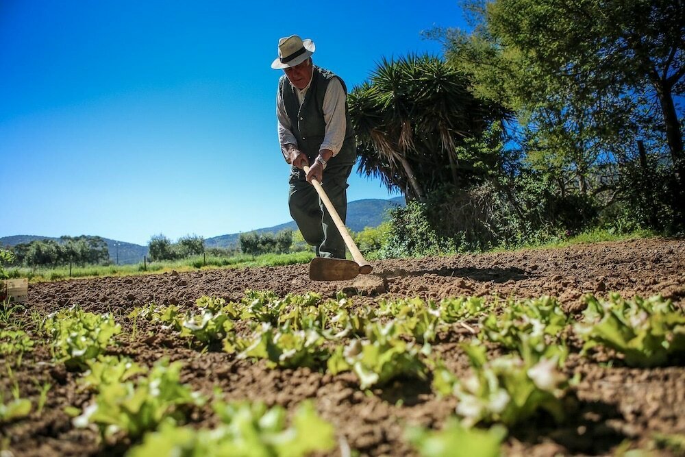 Фото Agriturismo Monte Argentario