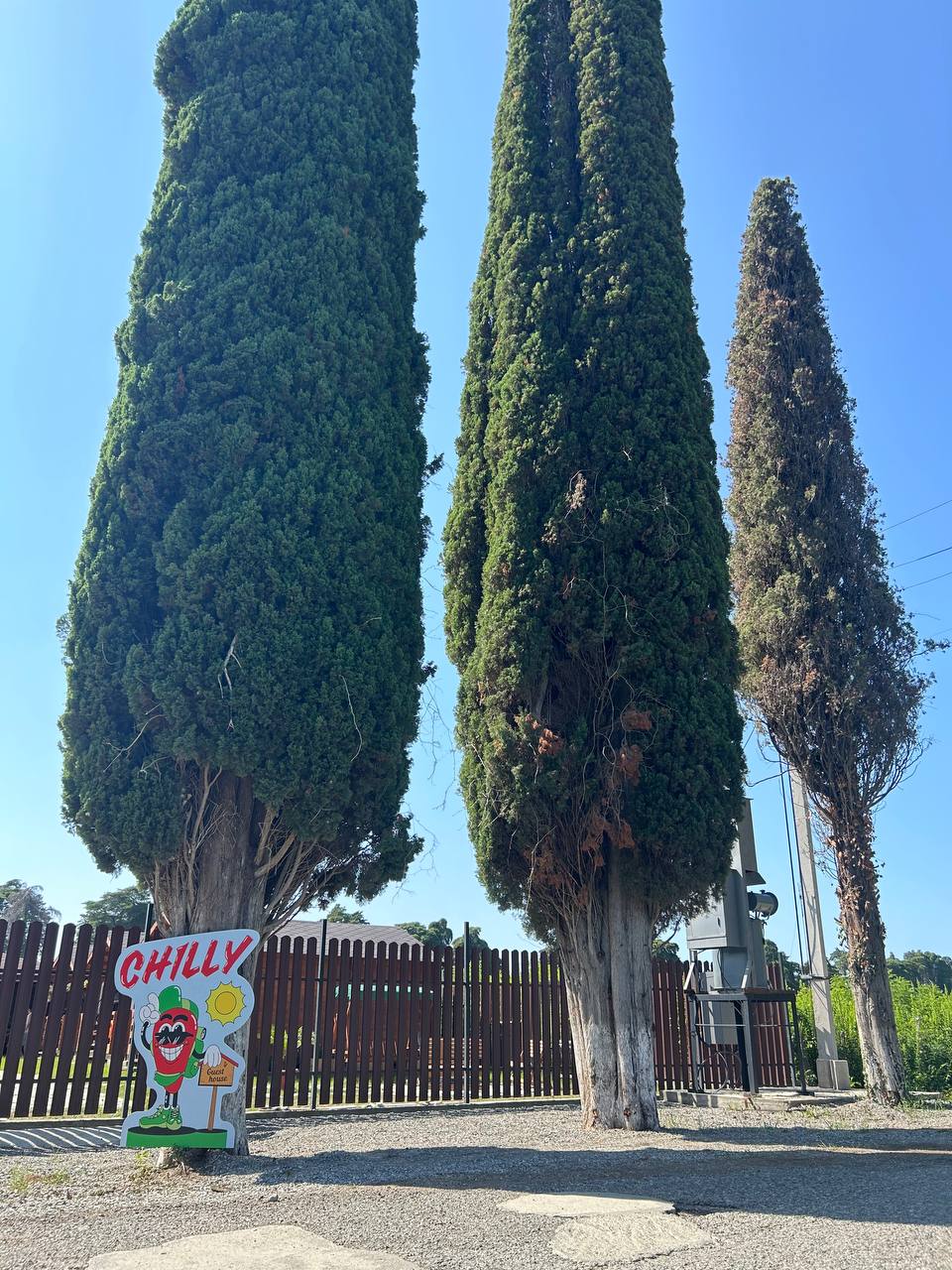 Фото Гестхаус Chilly