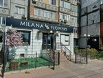 Milana (Petra I Avenue, 117), garden center