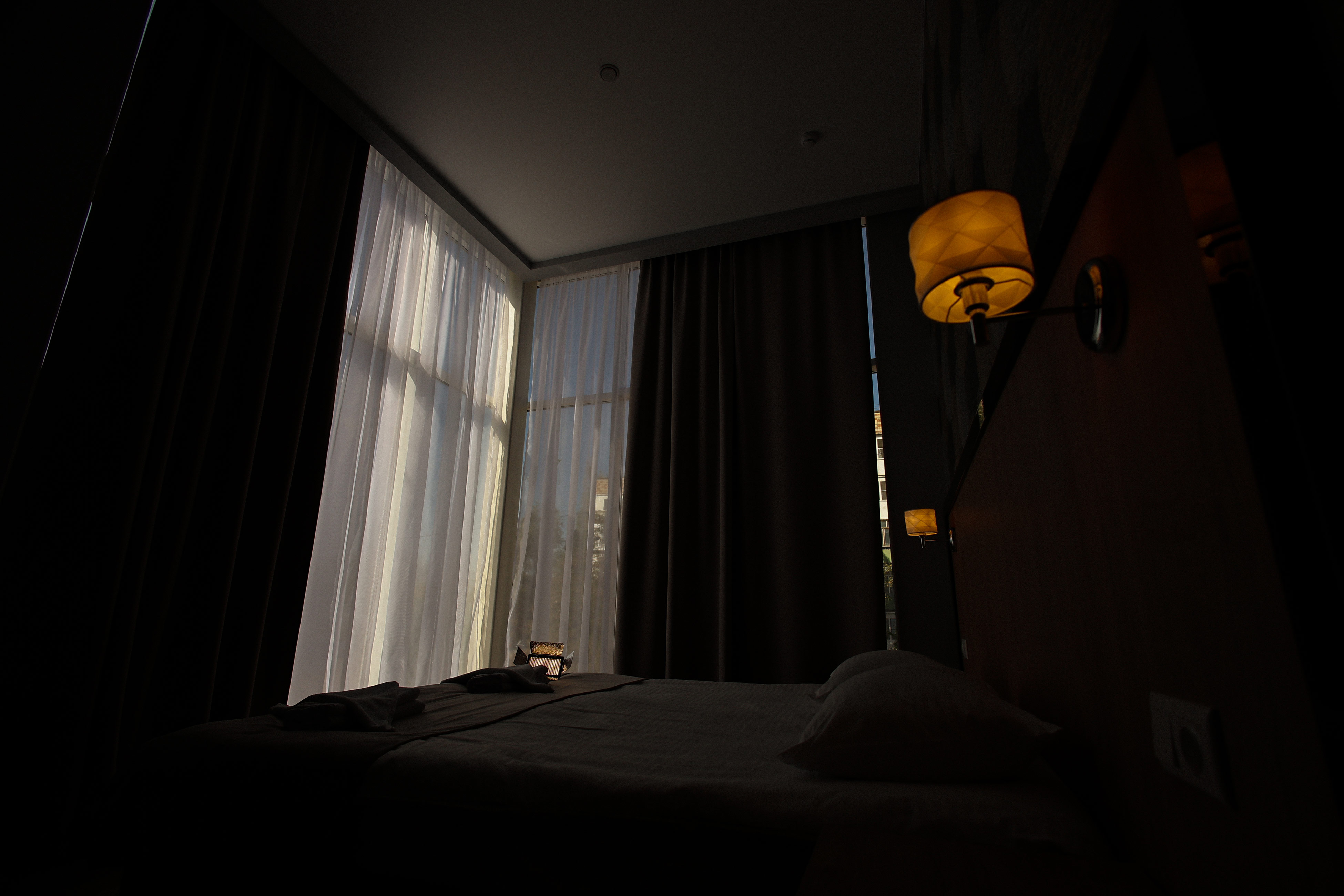 Фото Голден Норрис