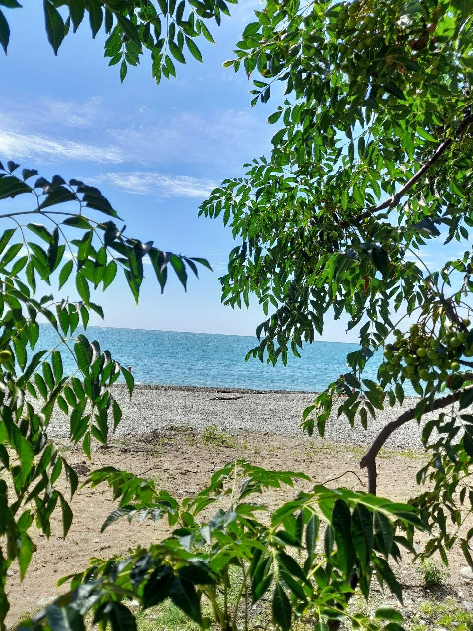 Фото Бассейн