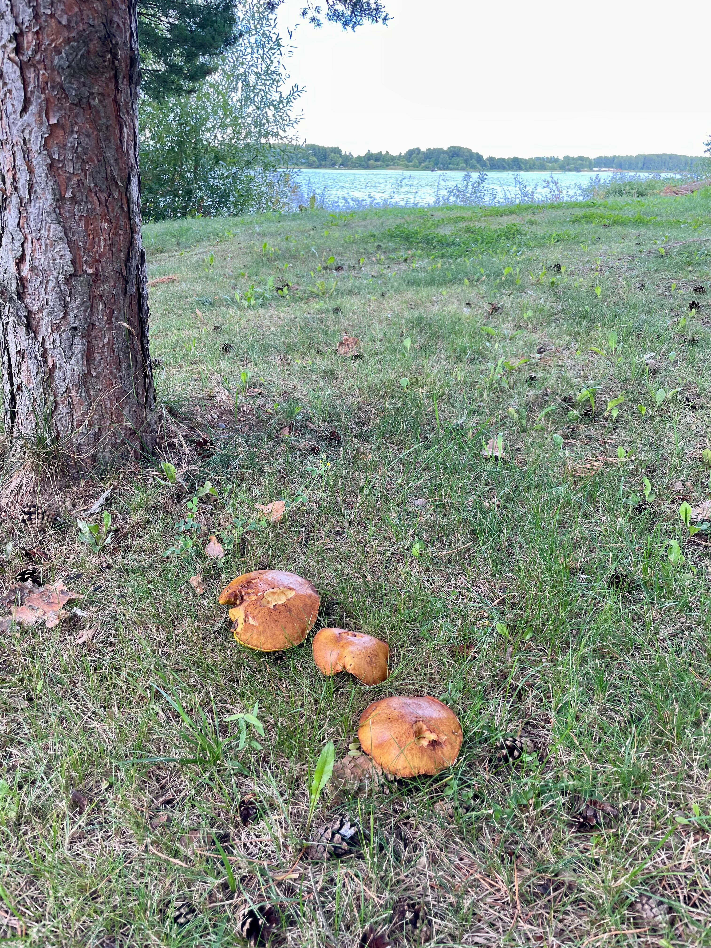 Фото Grand Adventure