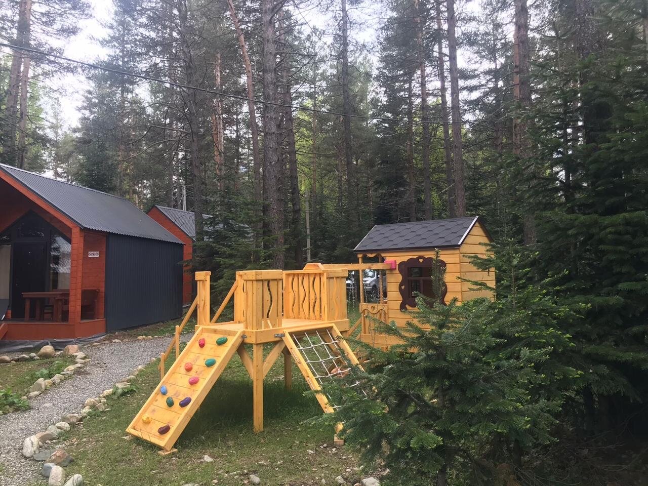 Фото Белый волк