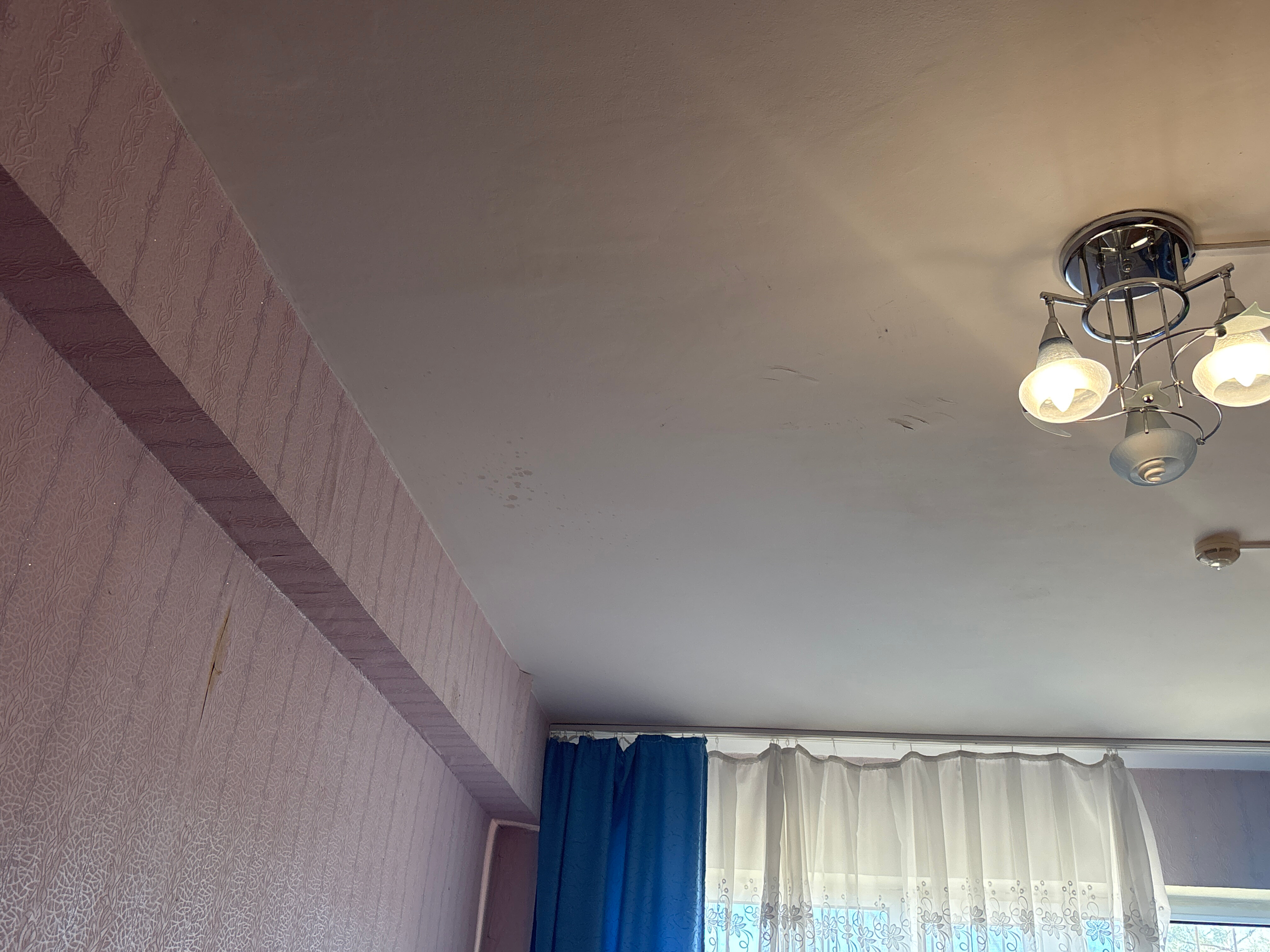 Фото Центральная