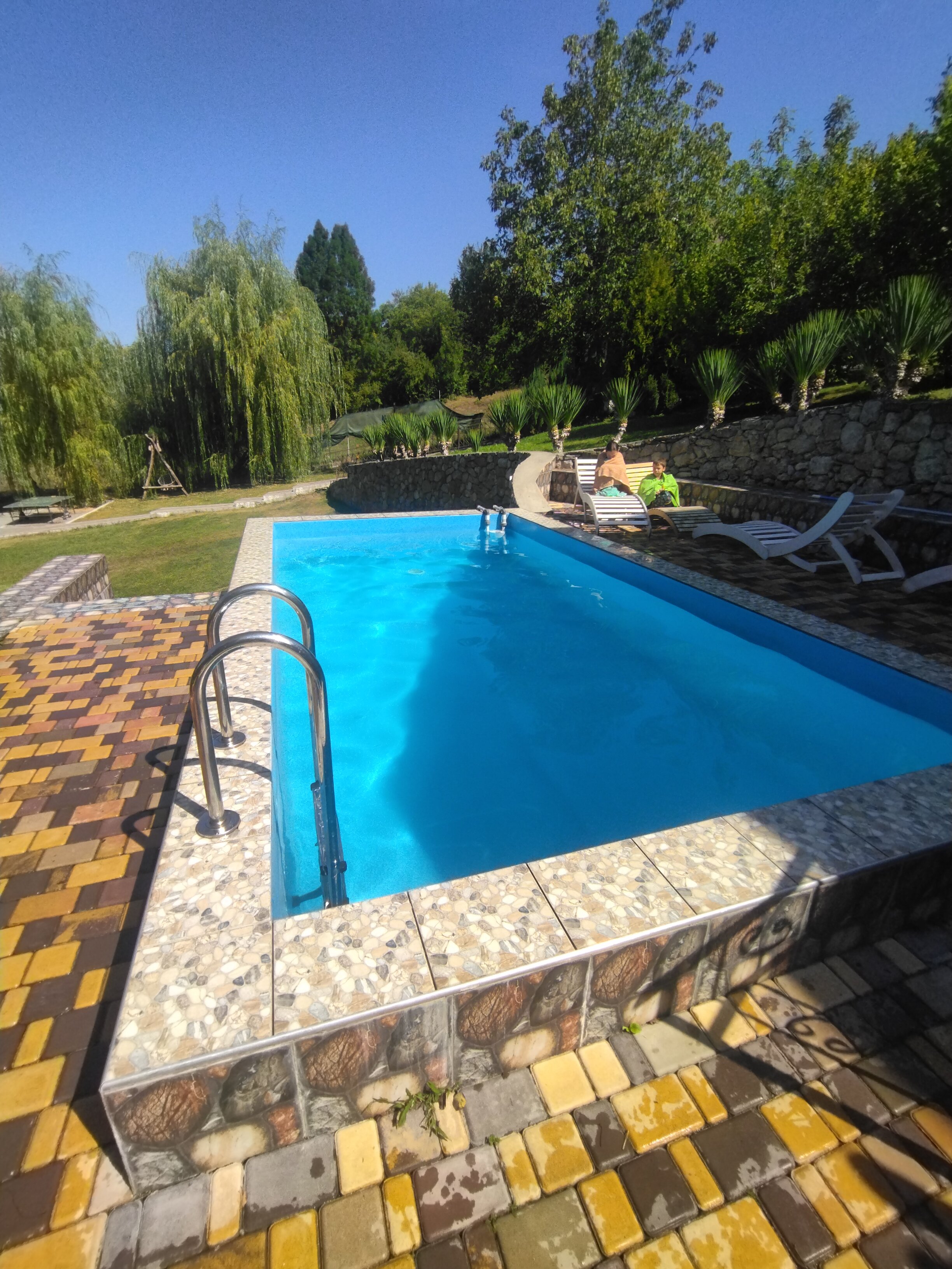 Фото Пальмира