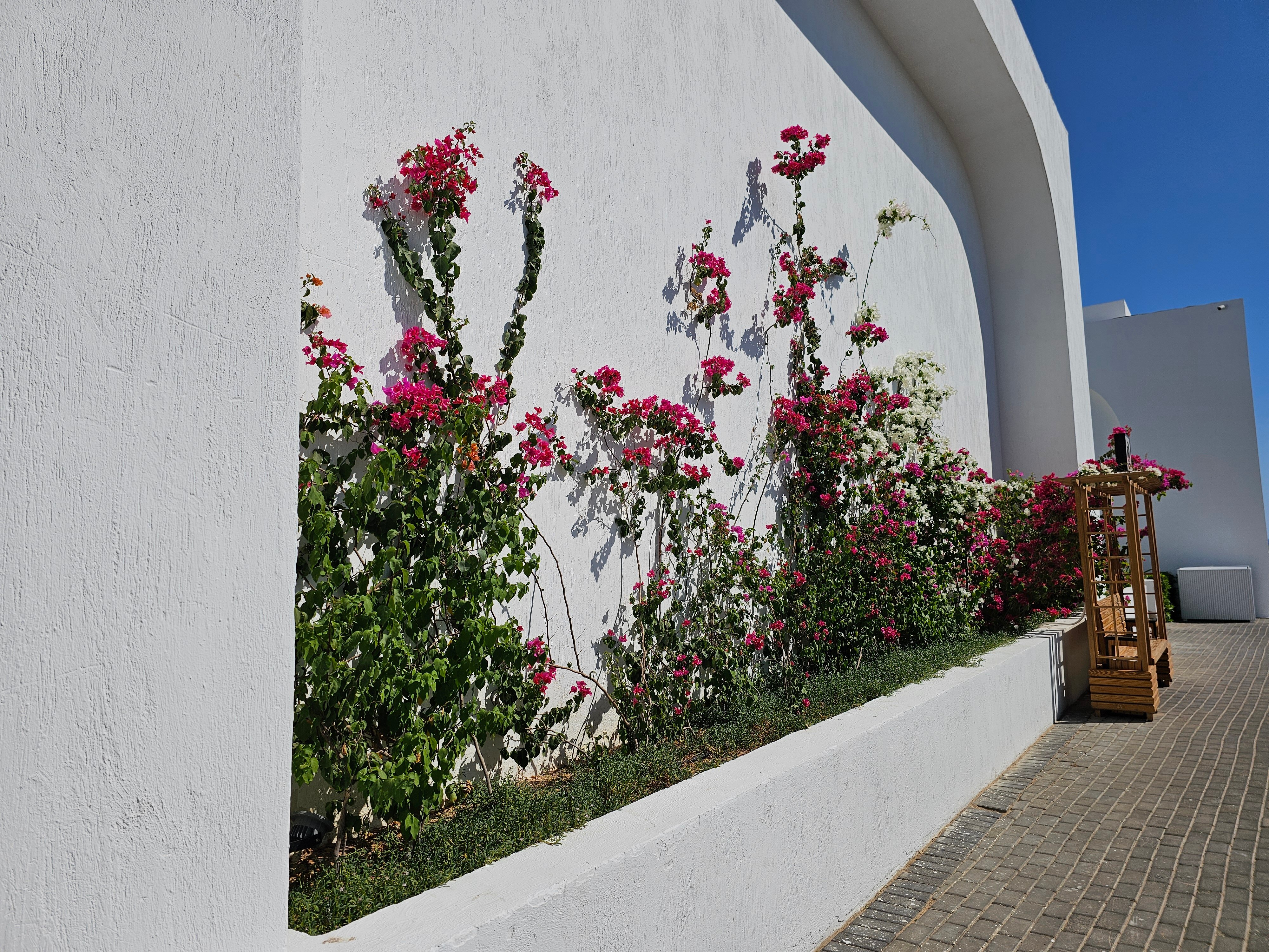 Фото White Hills Resort