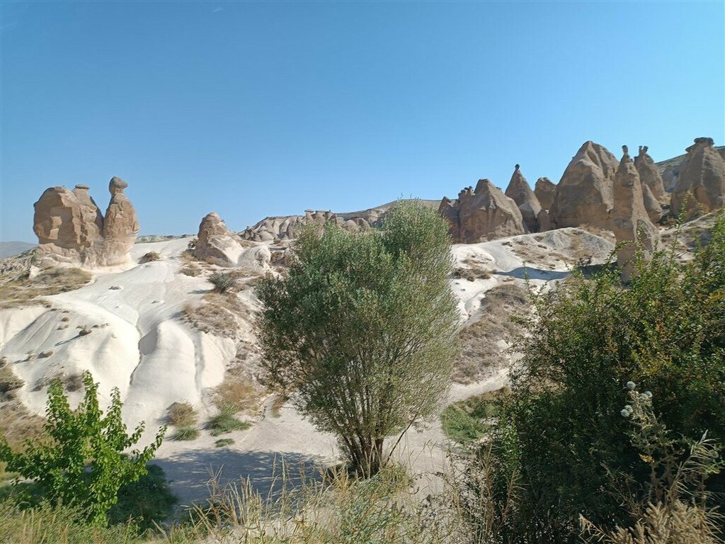 Genre sculpture Camel Fairy Chimney, Avanos, photo