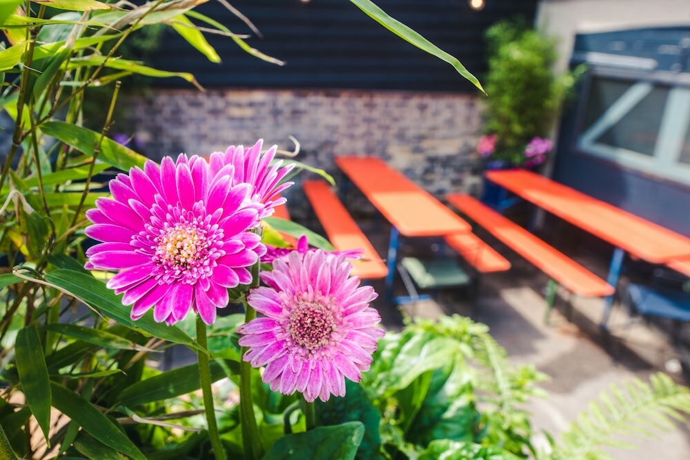 Фото The Waterman