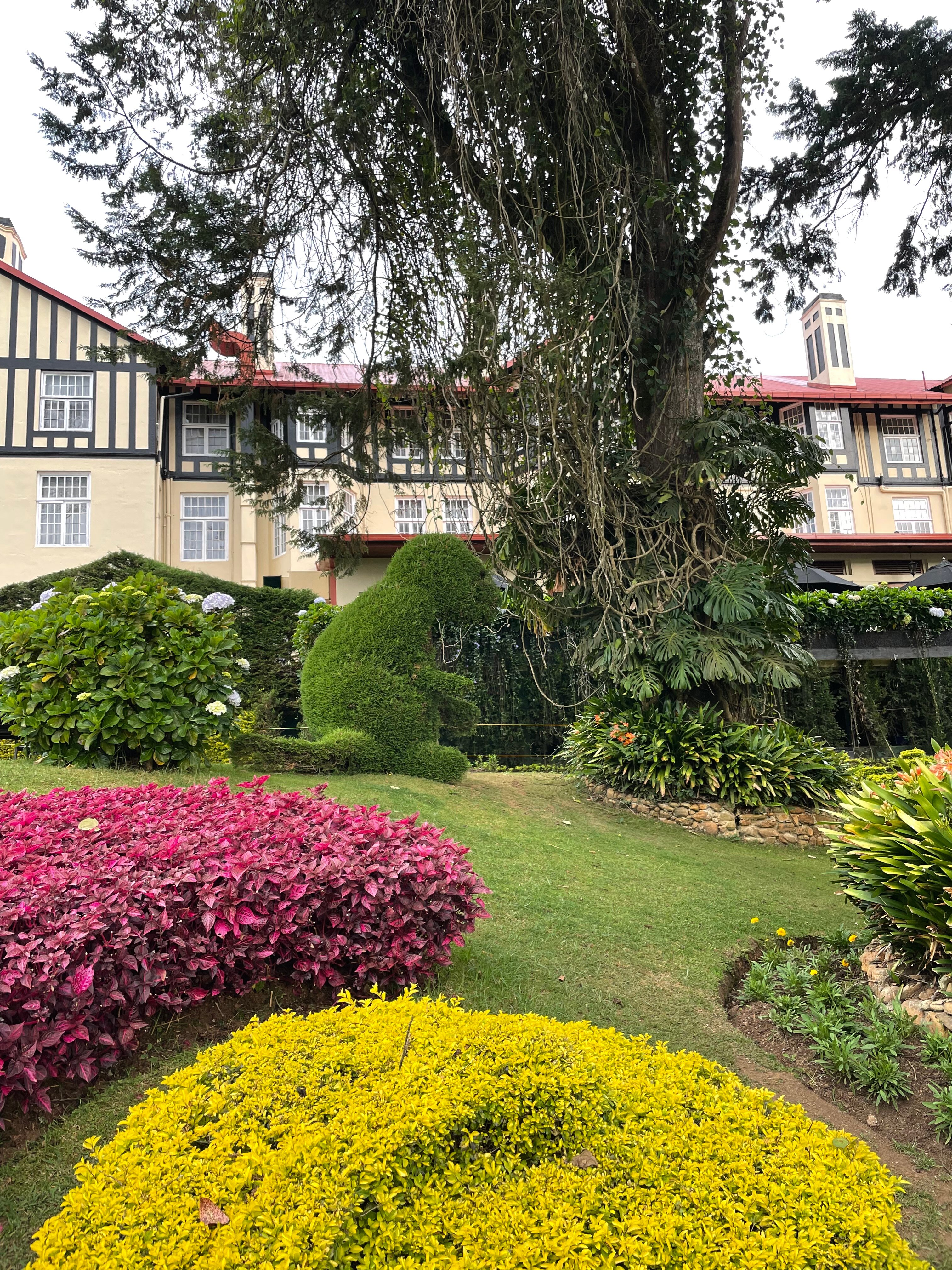 Фото The Grand Hotel Nuwara Eliya