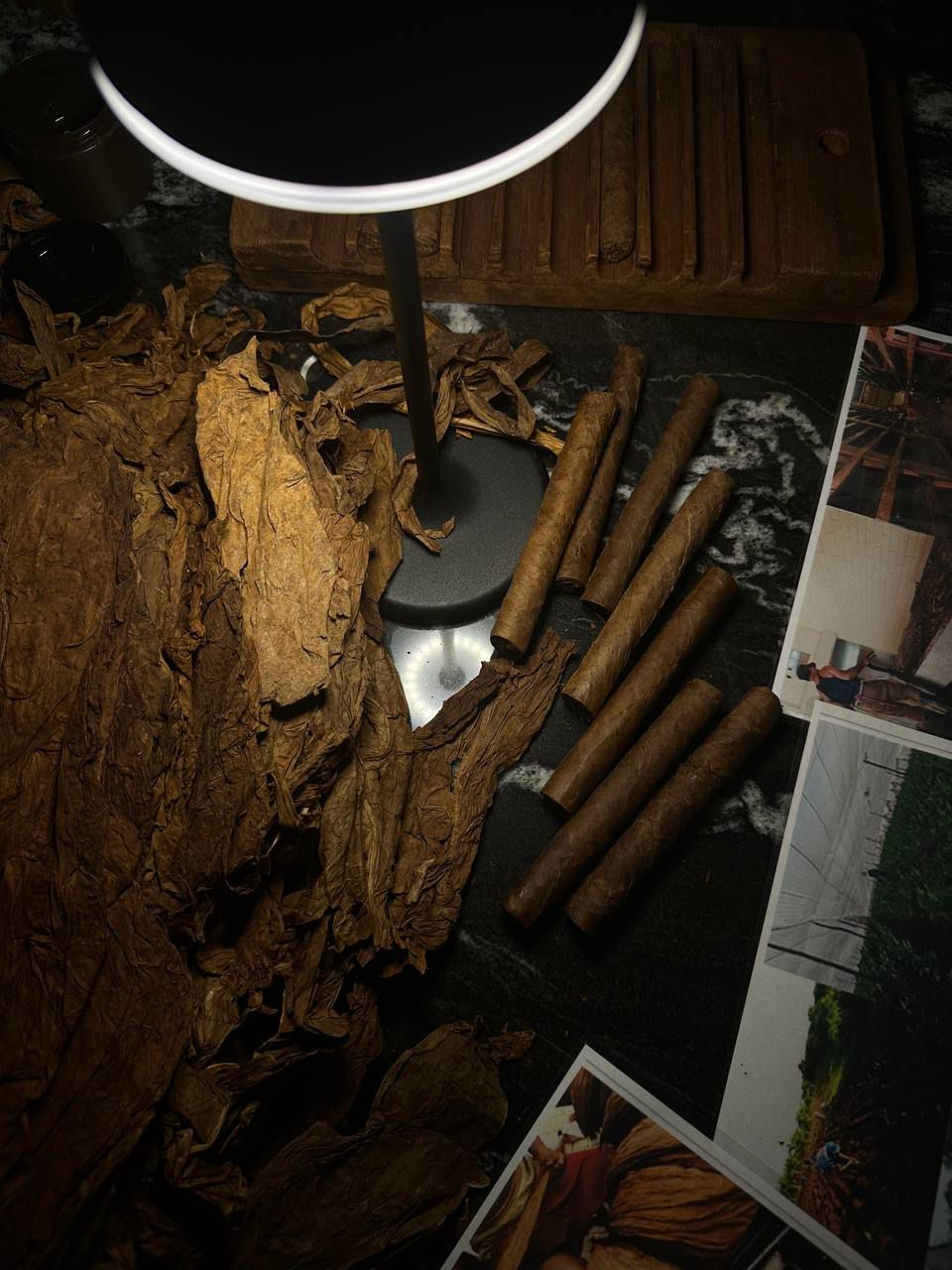 Фото Довлатов