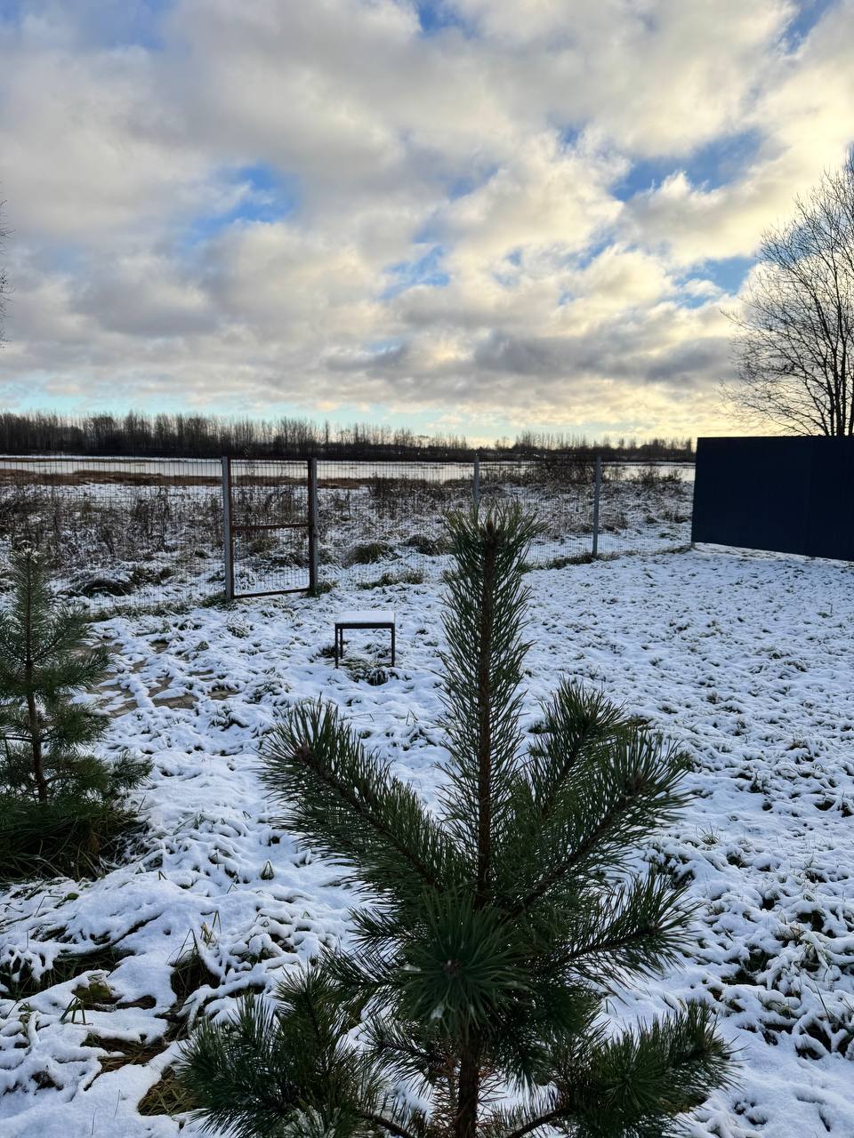 Фото Левый берег