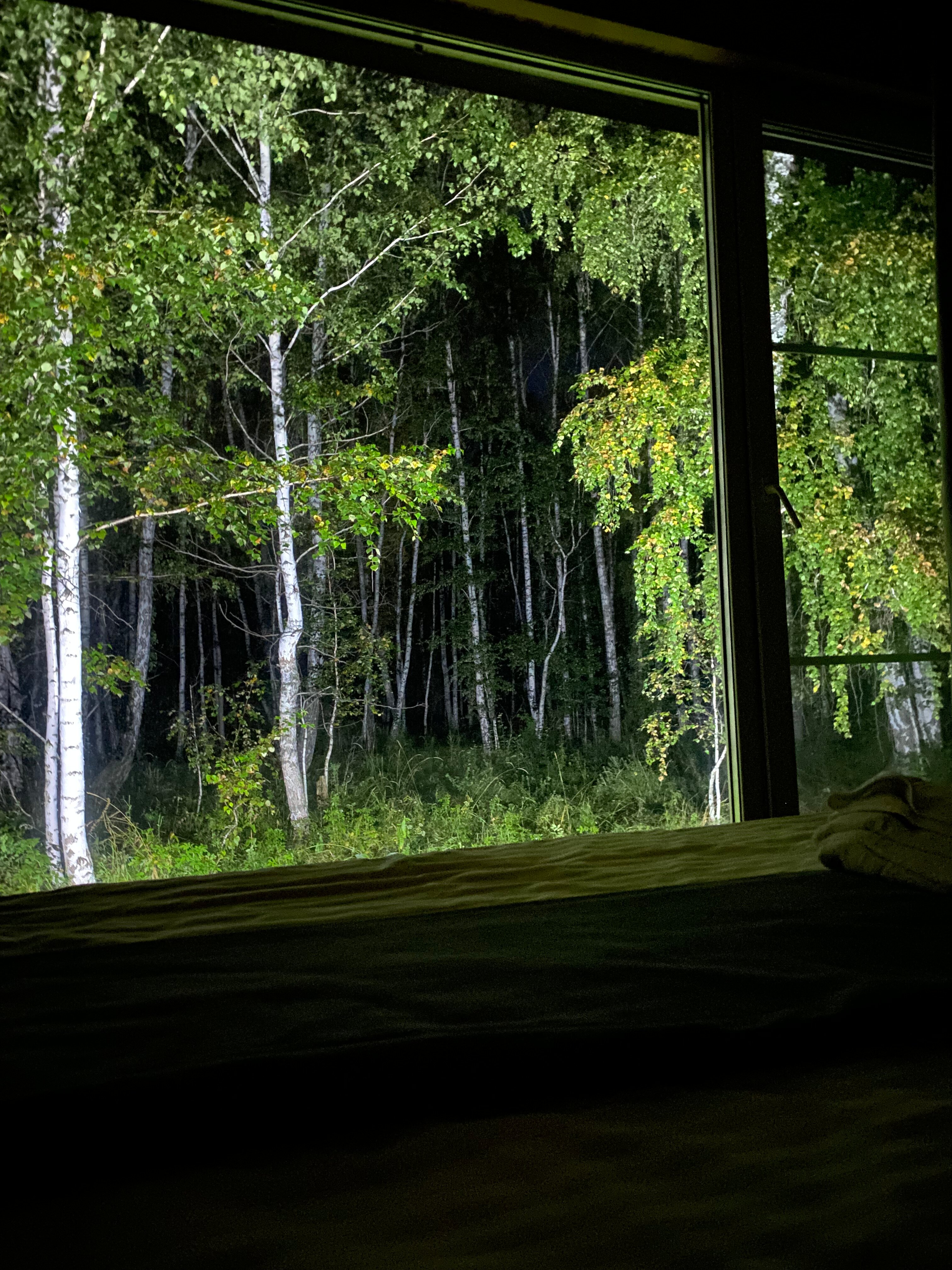 Фото Гнездо семейного счастья