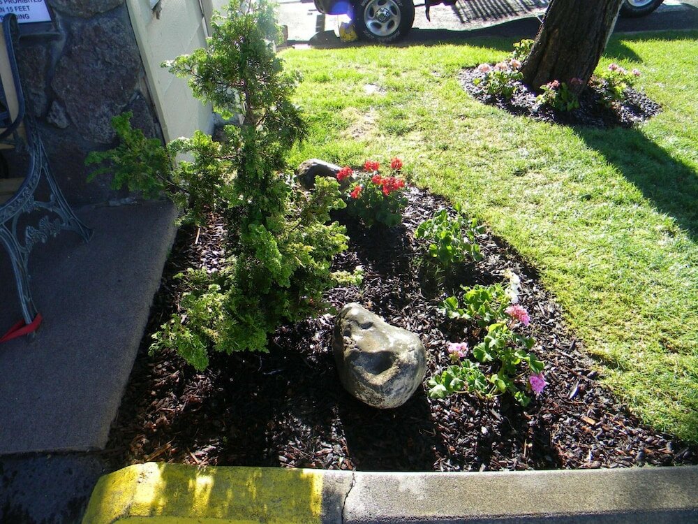 Фото Kennewick Suites