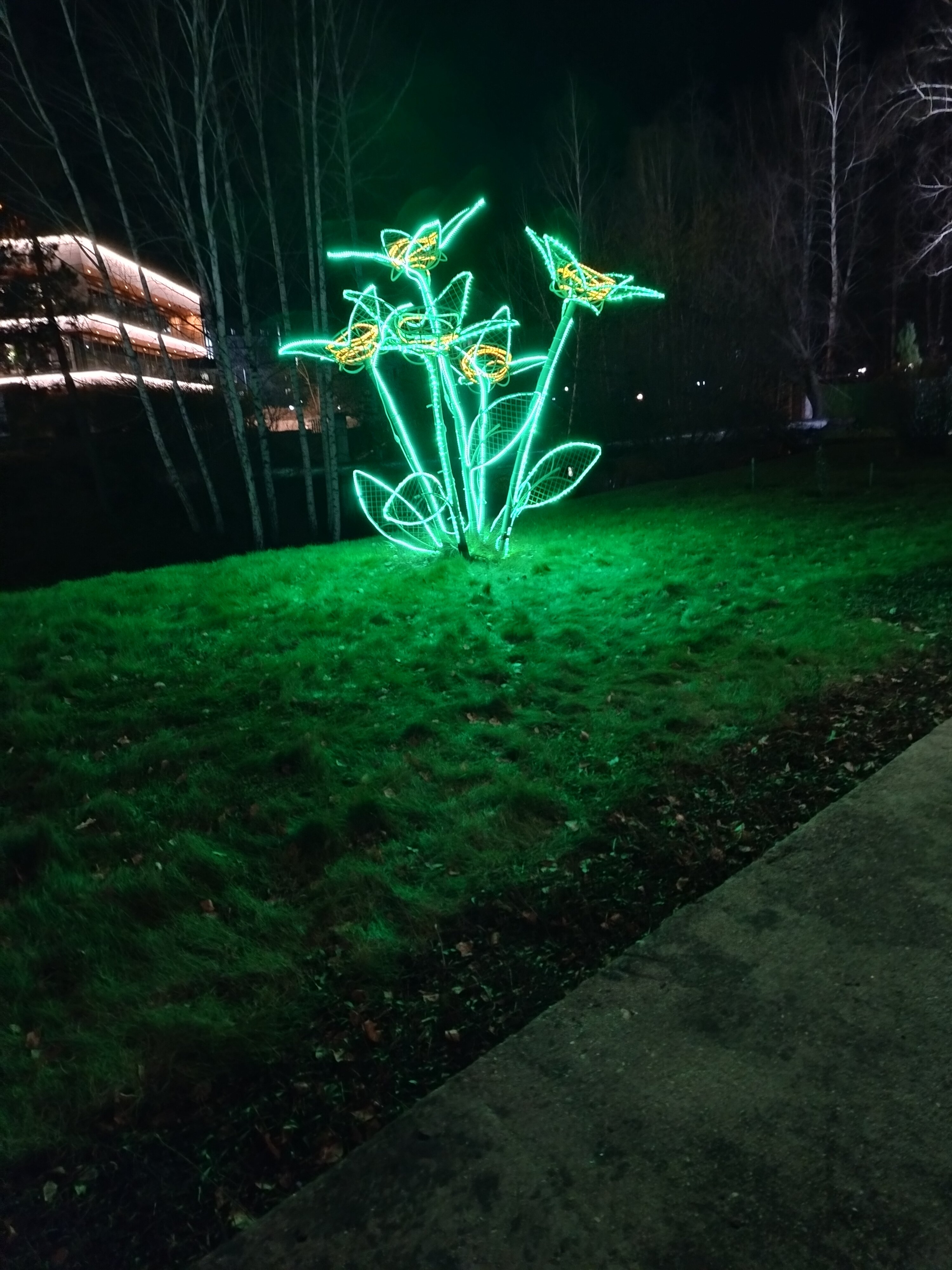 Фото Транссиб