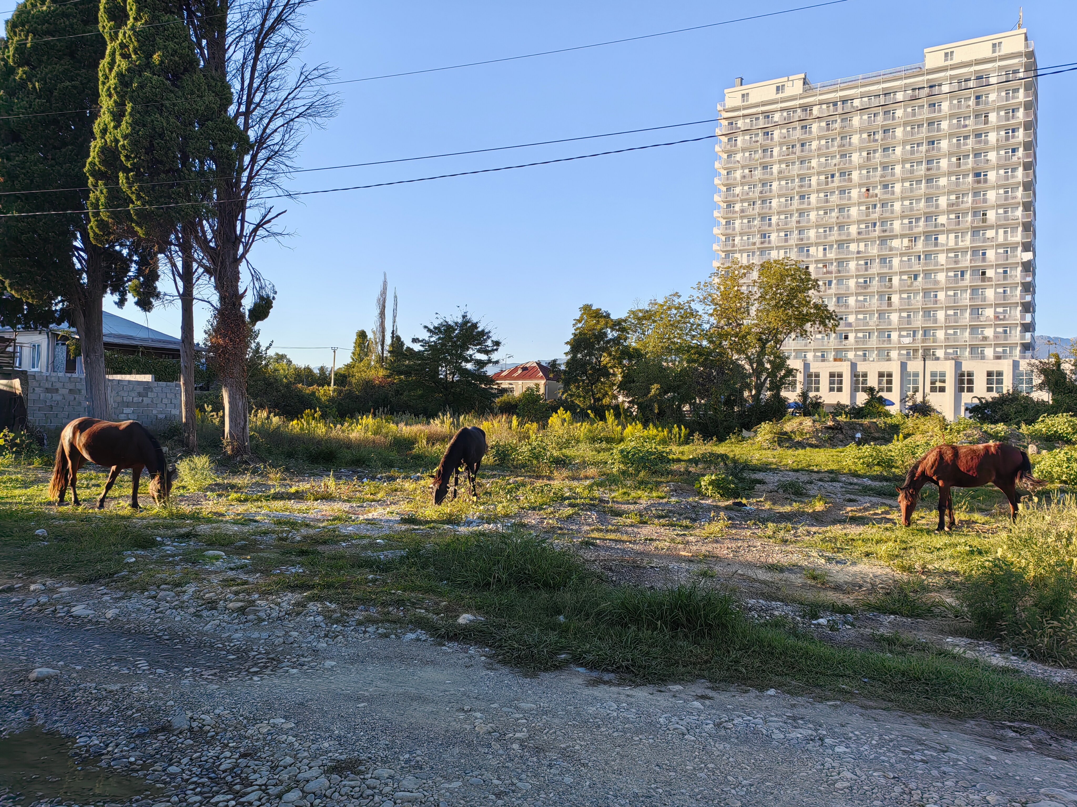 Фото Гранд-отель Россия